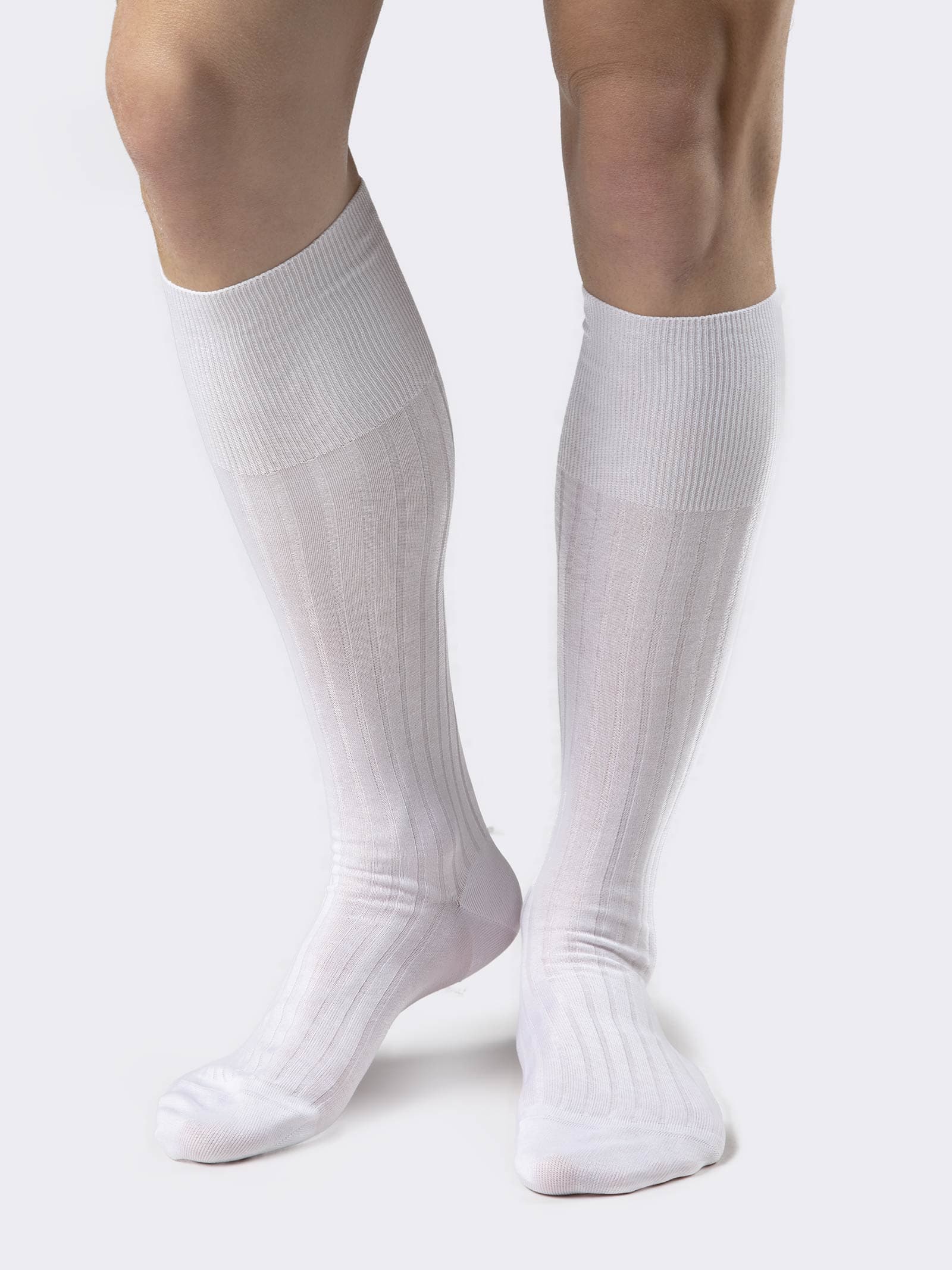 Lisle Thread Knee-High Medical Socks, Non-Elastic - Made in Italy - Image 1