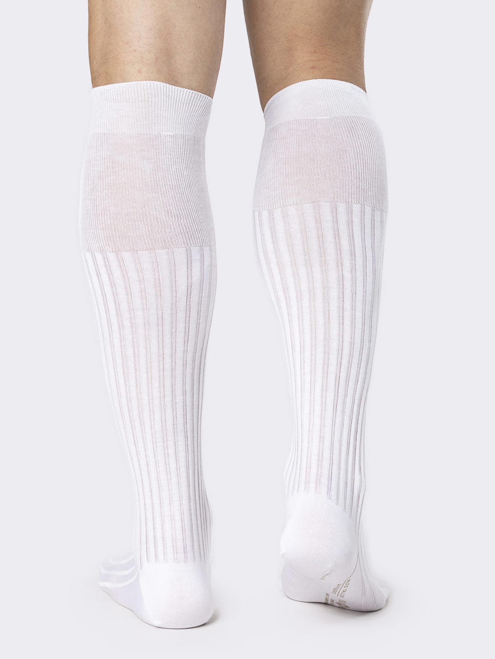 Elegante Herren Breitrippsocken aus Schottischem Garn - Image 3