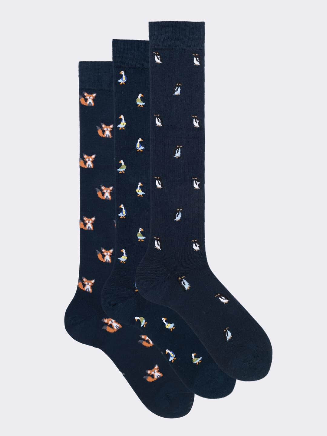 Scatola Regalo Calze Uomo in Caldo Cotone, 3 Paia Fantasia con Animali